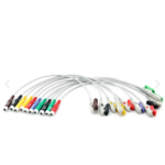 Accesorios ECG