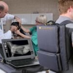 Equipo de Rayos X LEONARDO DR NANO - Vet