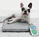 Equipo de Fisioterapia MAGNETOVET 200 - Imagen 3