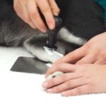 Equipo de Fisioterapia TECARVET 4000 - Imagen 3